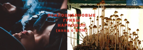 ГАЛЛЮЦИНОГЕННЫЕ ГРИБЫ Заволжье