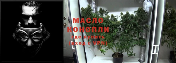 ГАЛЛЮЦИНОГЕННЫЕ ГРИБЫ Заволжье
