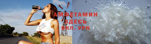 ГАЛЛЮЦИНОГЕННЫЕ ГРИБЫ Заволжье