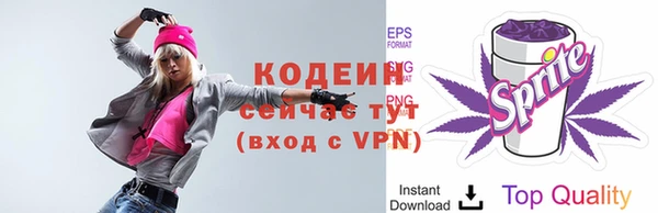 ГАЛЛЮЦИНОГЕННЫЕ ГРИБЫ Заволжье