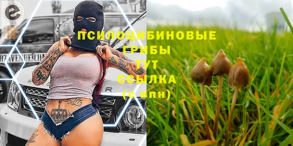 СК Заволжск