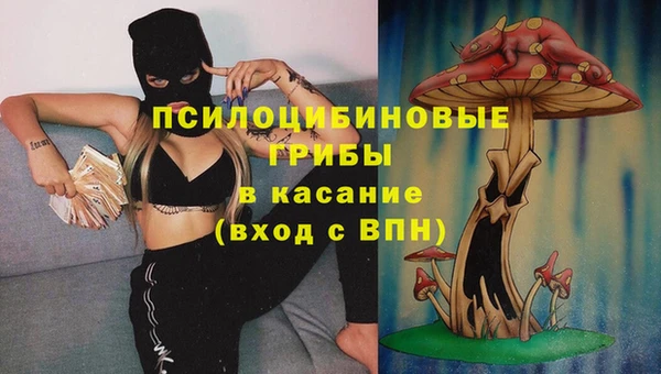 гашиш Заводоуковск