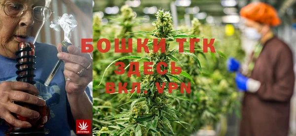 ГАЛЛЮЦИНОГЕННЫЕ ГРИБЫ Заволжье