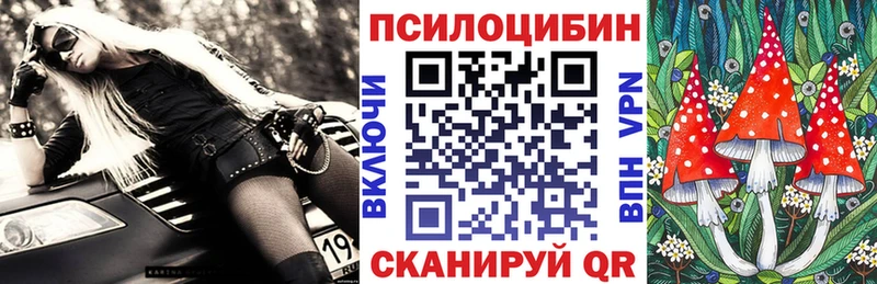 Галлюциногенные грибы Psilocybe  Иланский 